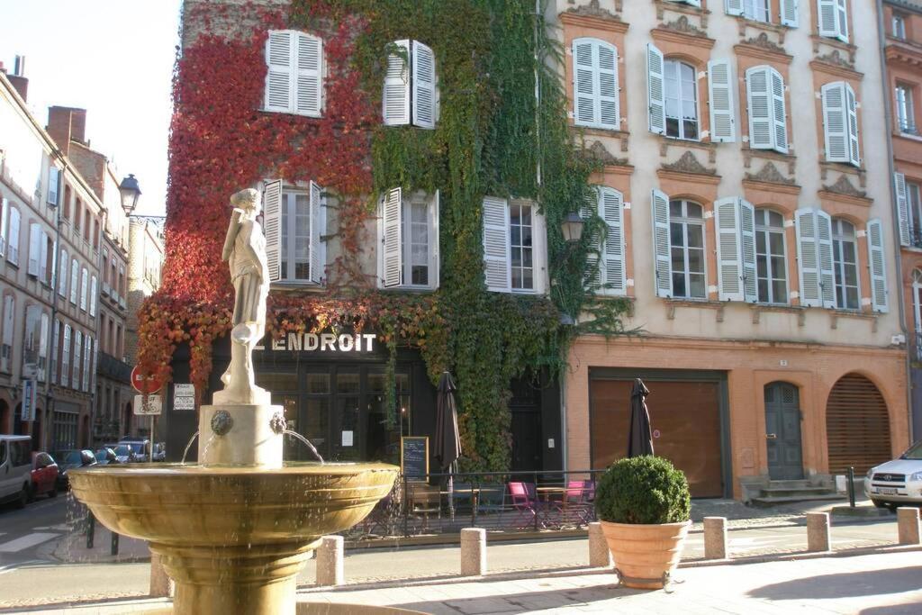 Logis de Sainte-Scarbes Appartement Toulouse Buitenkant foto